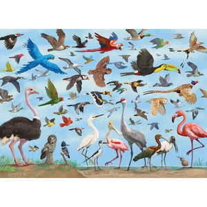 Pauper Puzzle 1000 Pieces | All The Birds