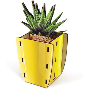 Fred & Friends DIY Desk Caddy | Aloe