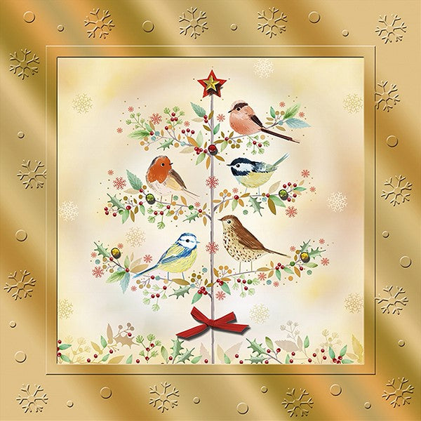 Holiday Birds Card