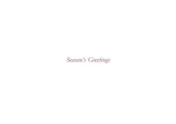 Birds In White Birches Boxed Holiday Cards | Set of 20