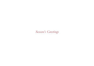 Birds In White Birches Boxed Holiday Cards | Set of 20