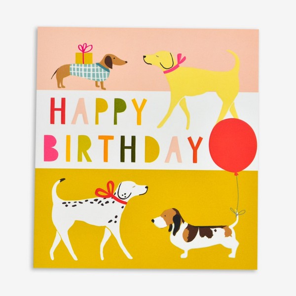 Birthday Dogs Birthday Card