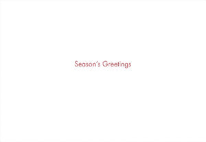 A Bright Noel Boxed Holiday Cards