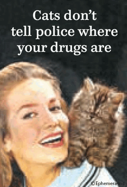 Cats Don't Tell Police Magnet