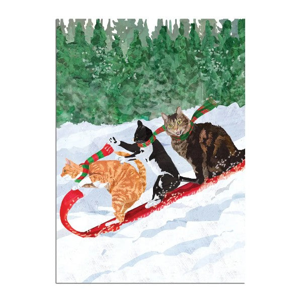 Cat Toboggan Christmas Card