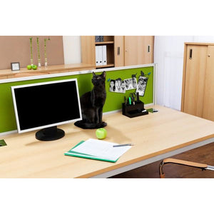 Fred & Friends Picture Hangers | Catwalk