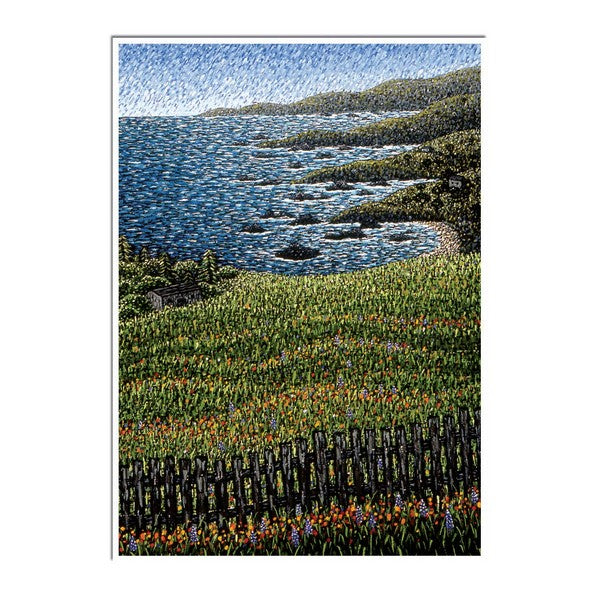 Coastline & Wildflowers - 2840