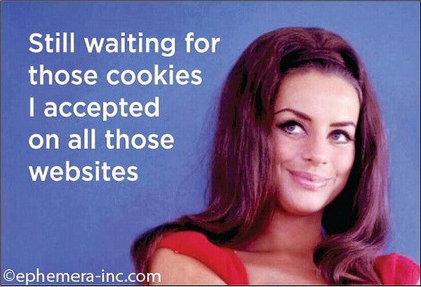 Cookies I Accepted on Websites Magnet