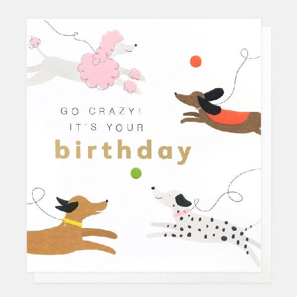 Crazy Dogs Birthday Card