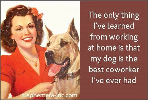 Dog is Best Coworker Magnet