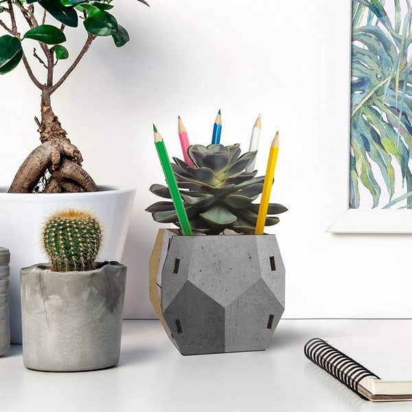 Fred & Friends DIY Desk Caddy | Echeveria