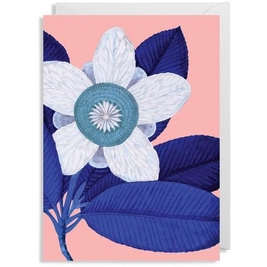 Elephant Apple - 6375