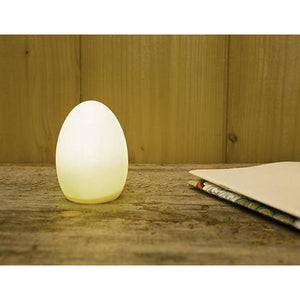 Egg LED Light