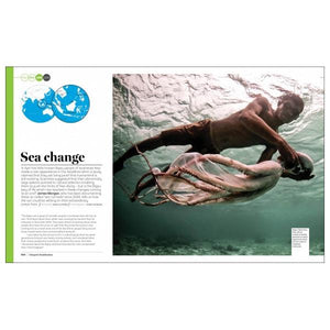 Delayed Gratification Magazine | Issue 31 Preview | The Gifted Type