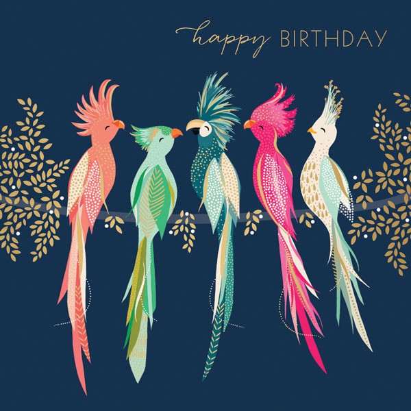 Fancy Birds Birthday Card