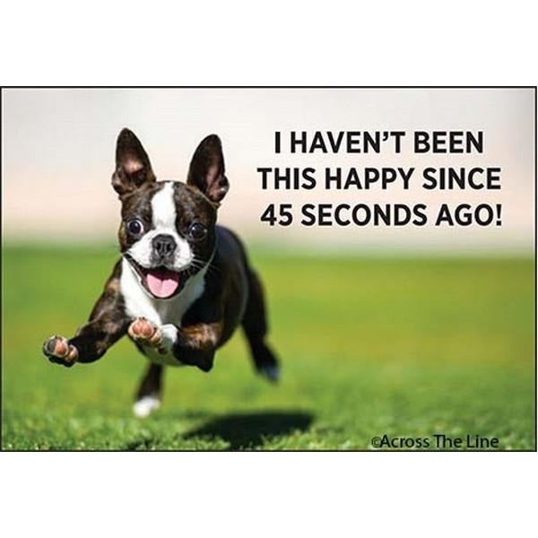 Haven't Been This Happy Magnet