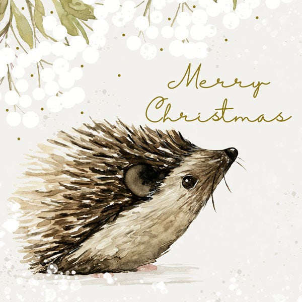Hedgehog Holiday Card Pack/6