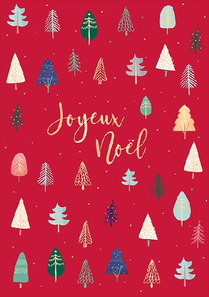 Joyeux Noel Holiday Card