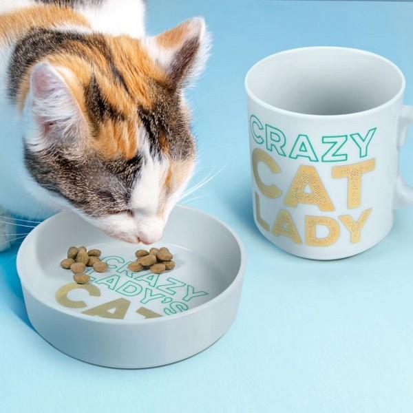 Crazy Cat Lady Mug & Pet Bowl Set