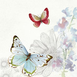 Butterflies of Spring - 1380