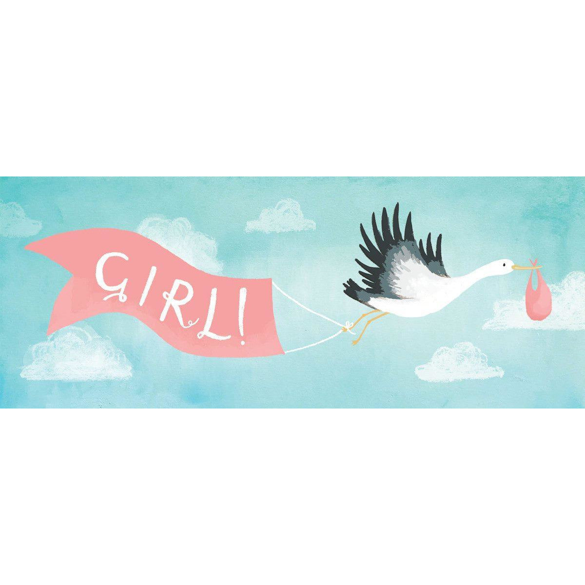 Gorgeous Baby Girl - CON02