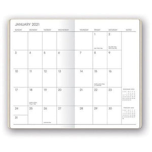 Pearl Shimmer Mini Planner - 17 Month