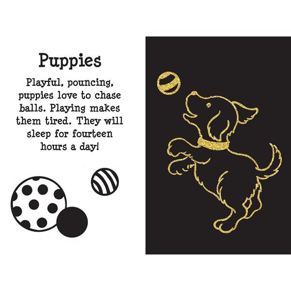 Furry Friends Scratch And Sketch | Activity Book | The Gifted Type