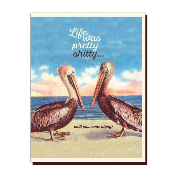 Pelicans - FN33