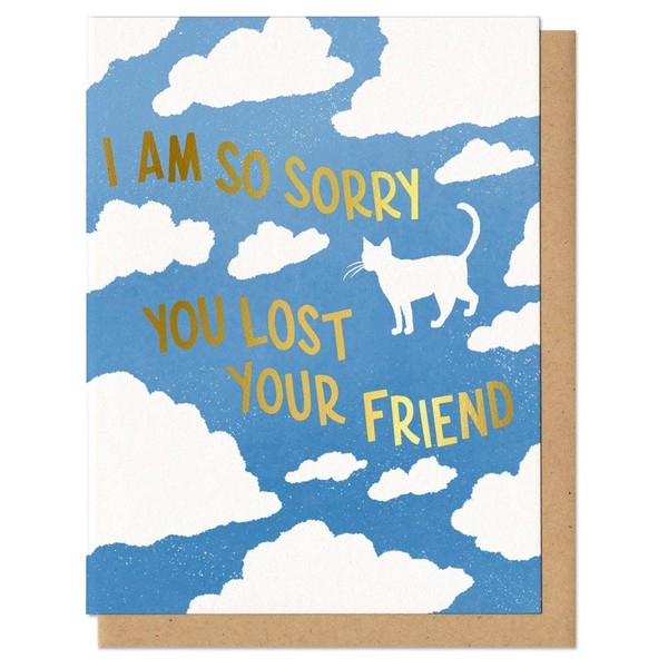 Lost Cat Friend Pet Sympathy Card