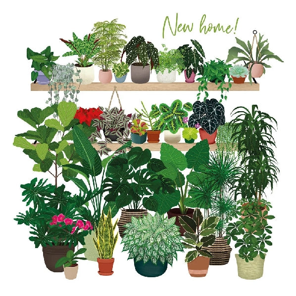 Houseplants New Home Card