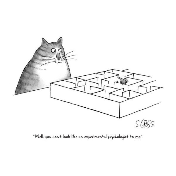 Experimental Pyschologist - NLCC006