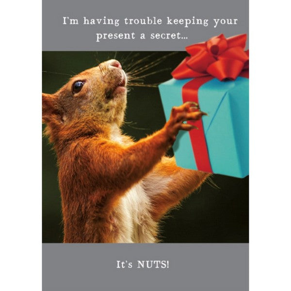 Squirrel With Present - AA1012A