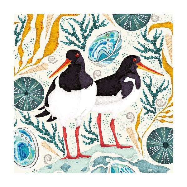 Oystercatchers Blank Art Card