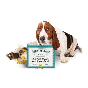 Pet Hall of Shame Dry Erase Board