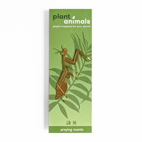 Mantis Houseplant Decoration