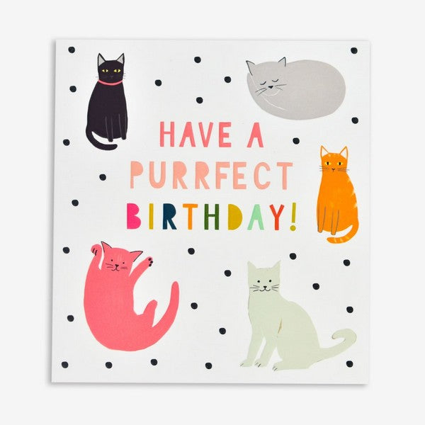 Purrfect Birthday Card