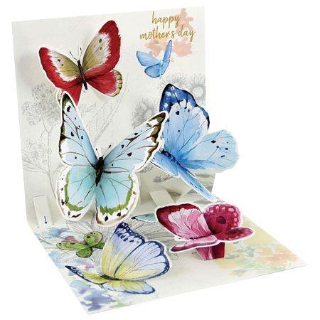 Butterflies of Spring - 1380