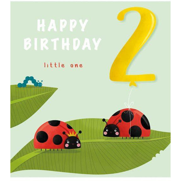 Happy 2nd Birthday Ladybug Card