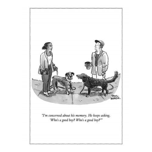 Who's a Good Boy? - NYC352