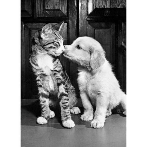 By Your Side- GGDF142