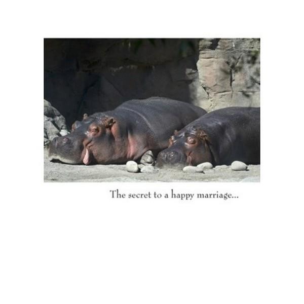 Secret To Happy Marriage - GC0349