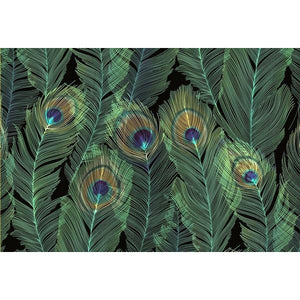 Feathers Blank Notecards