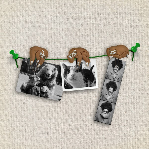Fred & Friends Picture Hanger | Sloths On A Vine