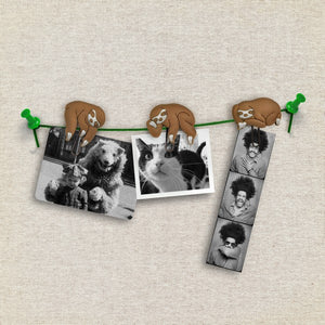 Fred & Friends Picture Hanger | Sloths On A Vine