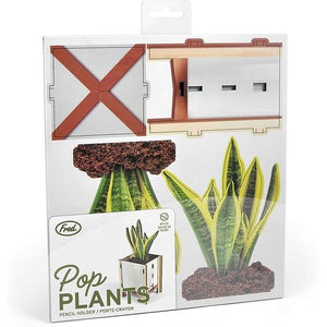 Fred & Friends DIY Desk Caddy | Snake Plant