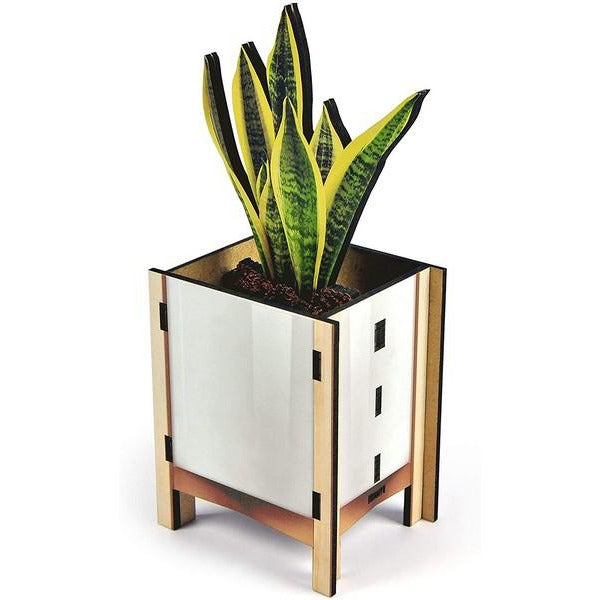 Fred & Friends DIY Desk Caddy | Snake Plant