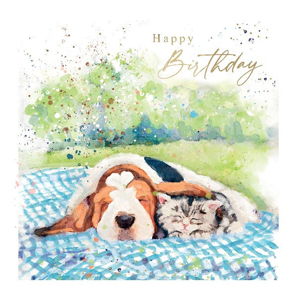 Snoozing Pets Birthday Card