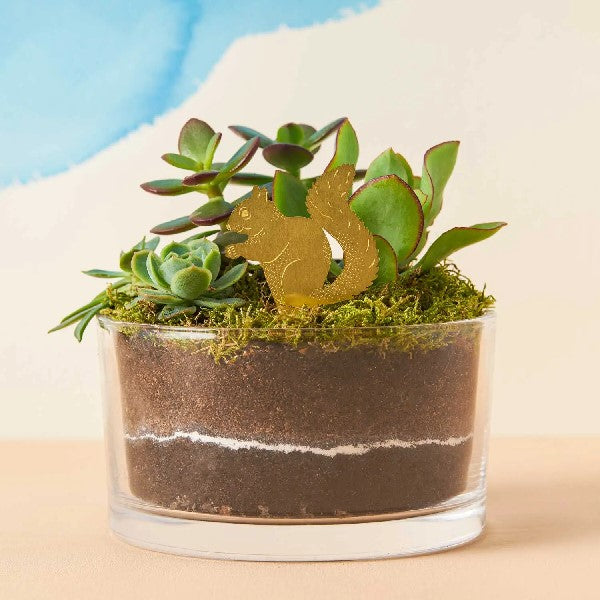 Squirrel Houseplant Decoration