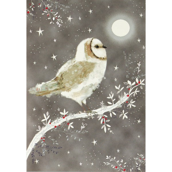 Starry Night Owl Holiday Boxed Cards | Set of 20