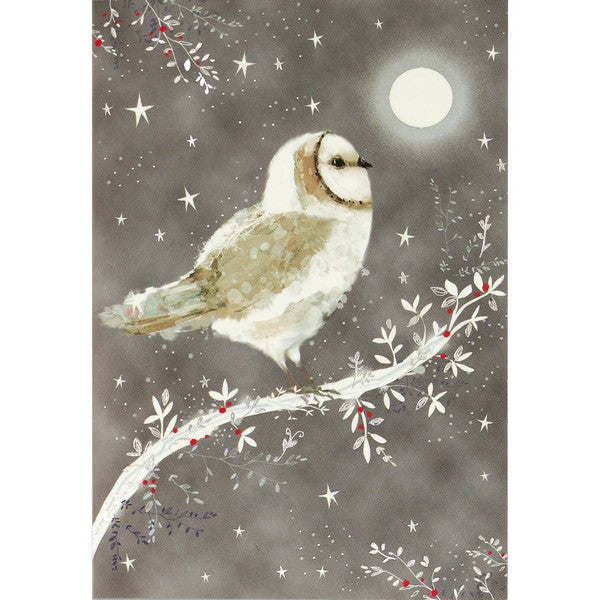 Starry Night Owl Holiday Boxed Cards